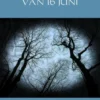 Het Mysterie van 16 Juni eBook