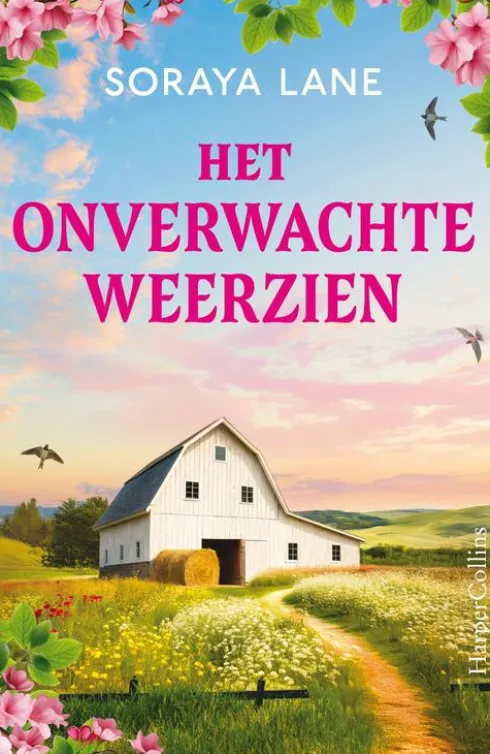 Het onverwachte weerzien eBook