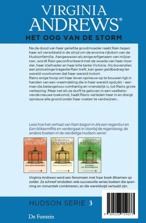 Het oog van de storm eBook