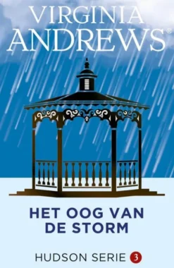 Het oog van de storm eBook
