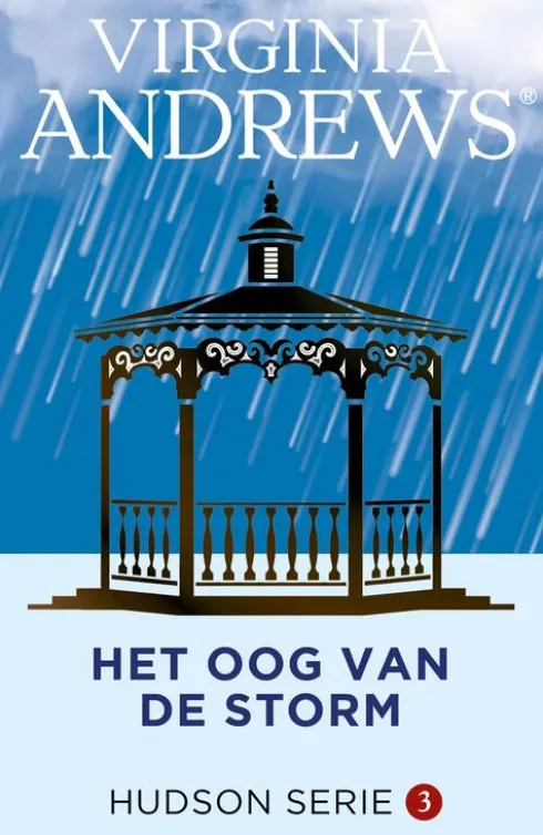 Het oog van de storm eBook