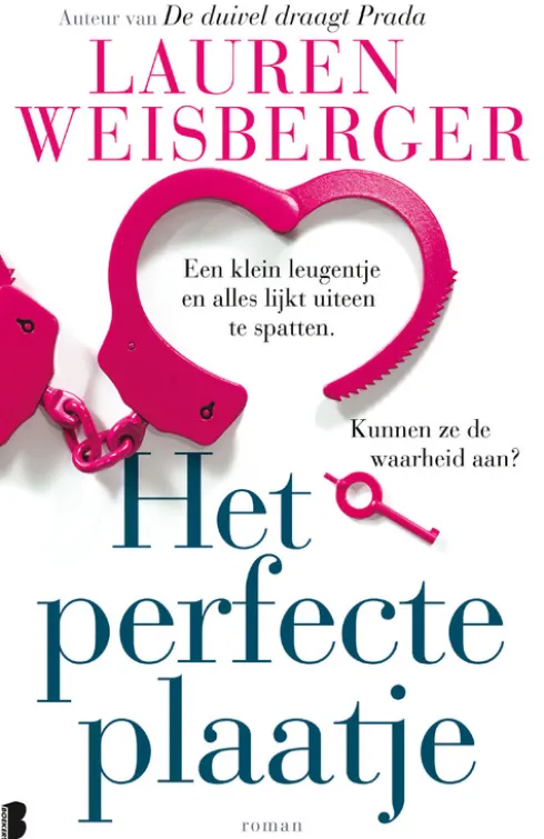 Het perfecte plaatje eBook