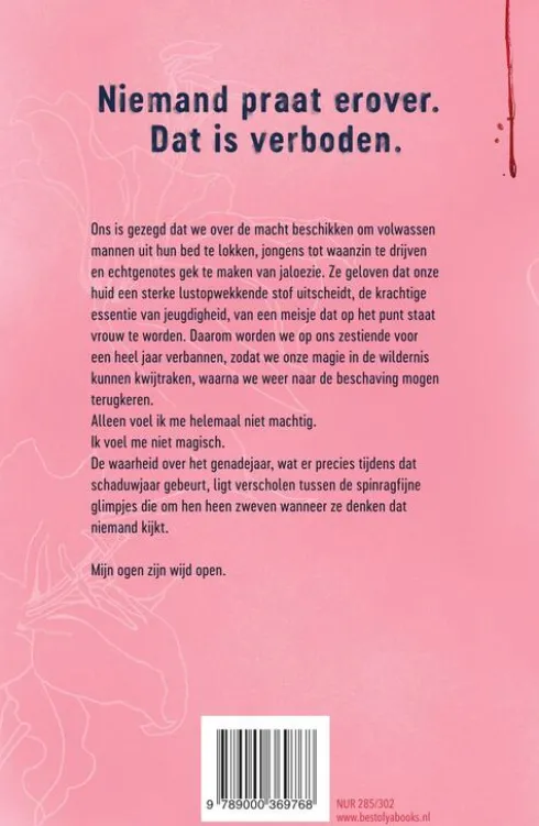 Het schaduwjaar eBook