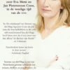 Het schaduwspel eBook