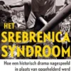 Het Srebrenicasyndroom eBook