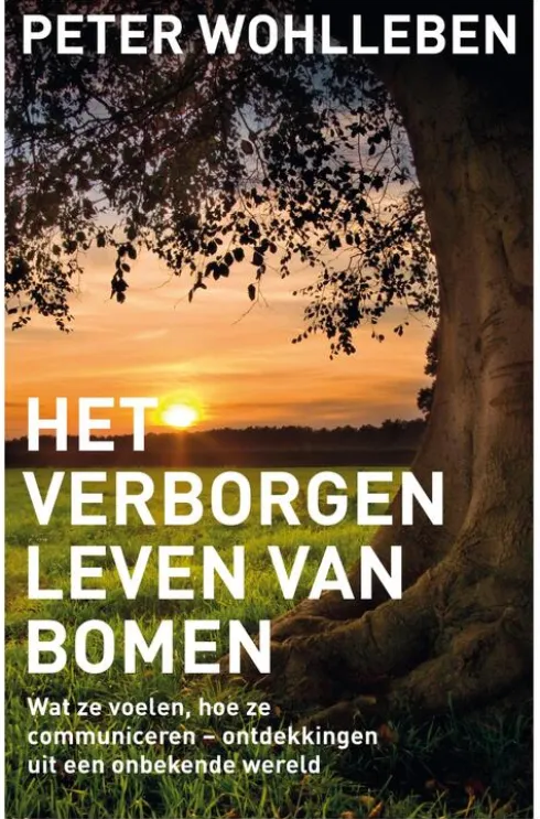 Het verborgen leven van bomen eBook