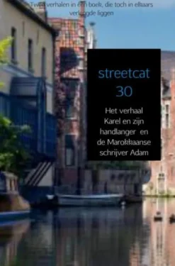 Het verhaal Karel en zijn handlanger en de Marokkaanse schrijver Adam eBook