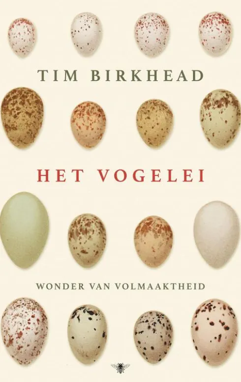 Het vogelei eBook