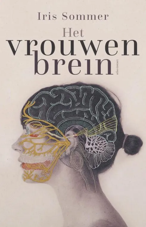 Het vrouwenbrein eBook