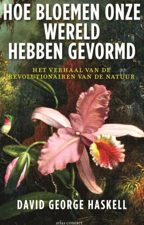 Hoe bloemen onze wereld hebben gevormd eBook