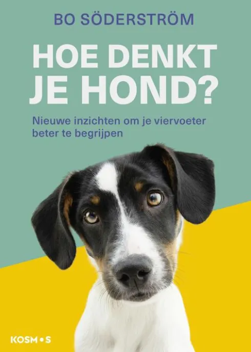 Hoe denkt je hond? eBook