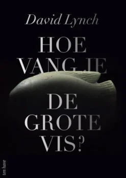 Hoe vang je de grote vis? eBook