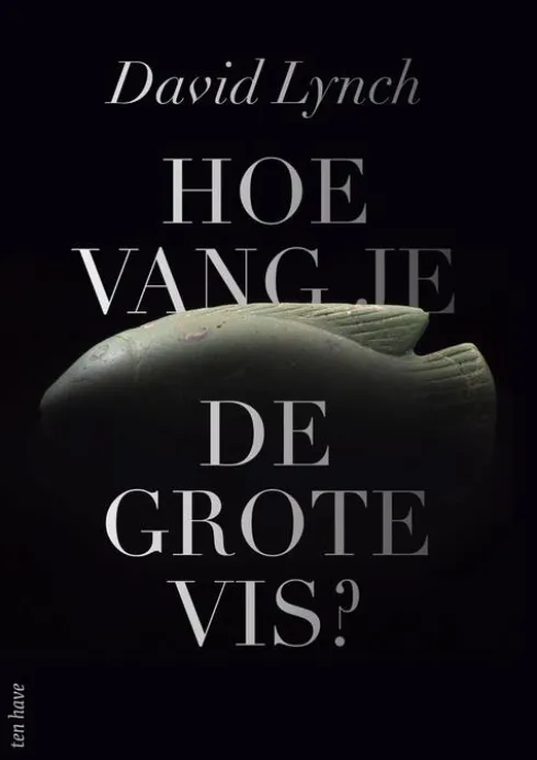 Hoe vang je de grote vis? eBook
