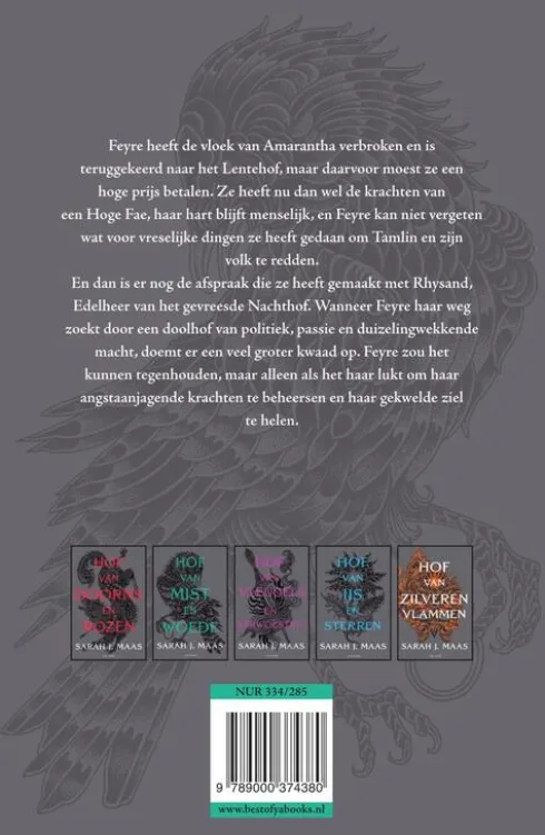Hof van doorns en rozen 2 - Hof van mist en woede eBook