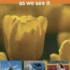 Holland, as we see it eBook