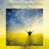 HSP -hulp bij overprikkeling en stress eBook