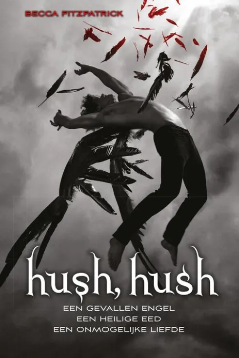 Hush, hush eBook