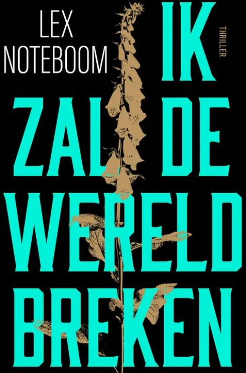 Ik zal de wereld breken eBook
