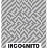 Incognito eBook