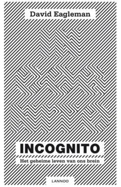 Incognito eBook