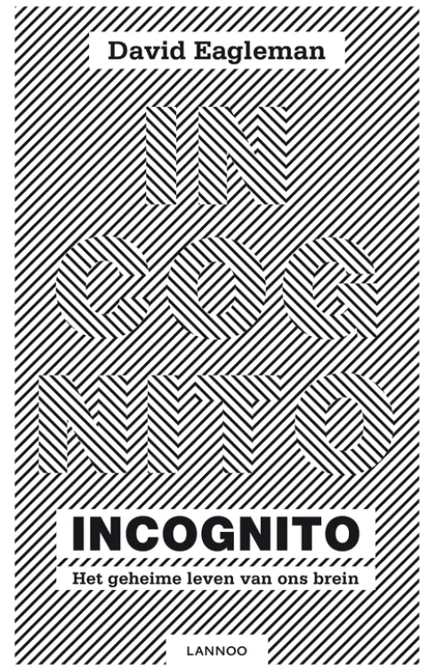 Incognito eBook