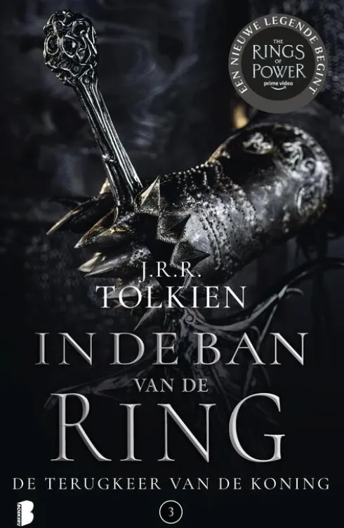 In de ban van de ring 3 - De terugkeer van de koning eBook