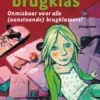 In de brugklas eBook