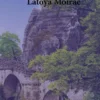 Indigo eBook