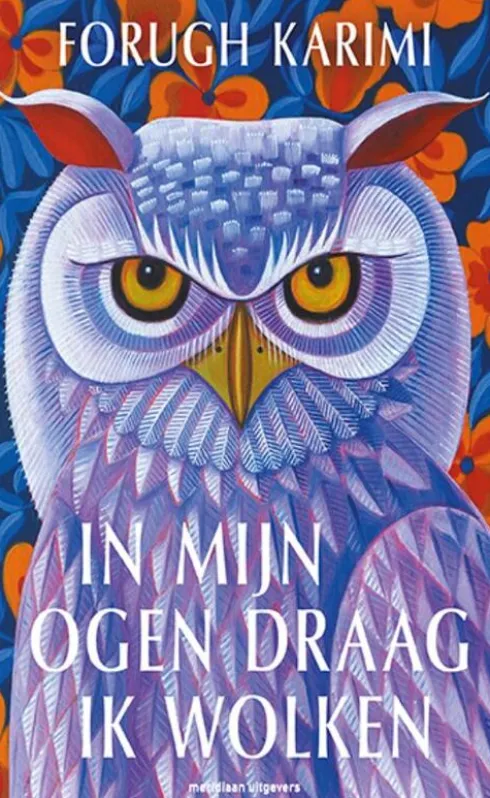 In mijn ogen draag ik wolken eBook