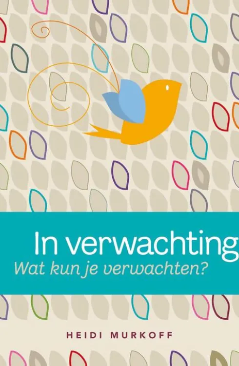 In verwachting; wat kun je verwachten? eBook