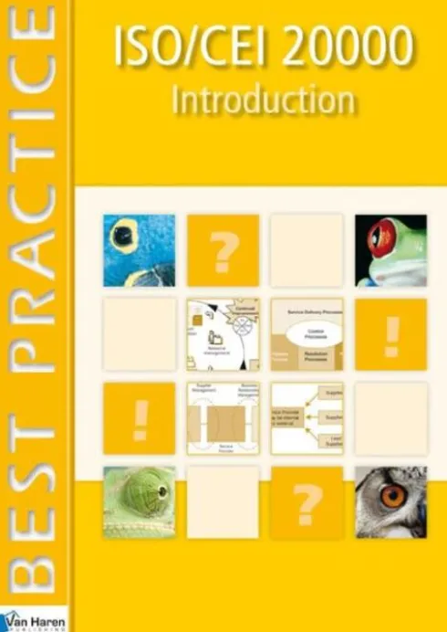 Iso/Cei 20000 eBook