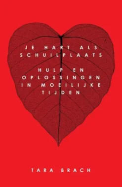 Je hart als schuilplaats eBook