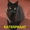 Katerpraat eBook
