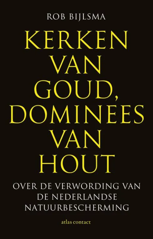 Kerken van goud, dominees van hout eBook