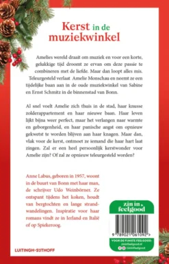 Kerst in de muziekwinkel eBook