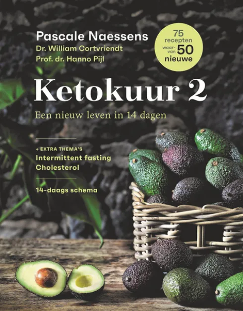 Ketokuur 2 eBook