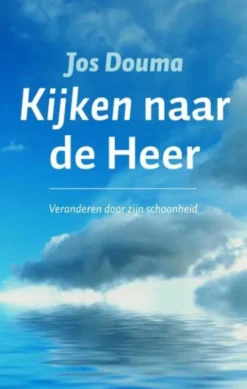 Kijken naar de heer eBook