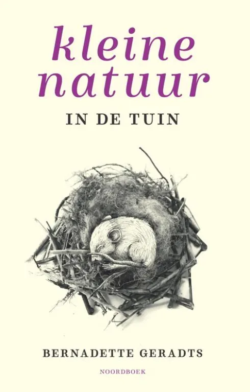Kleine natuur in de tuin eBook