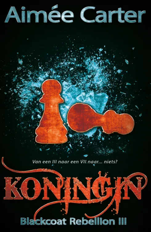 Koningin eBook