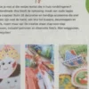 Leuks Met Lapjes eBook