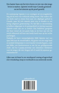 Liften naar de hemel eBook