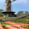 Loosduinen saai?! Echt niet! eBook