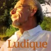 Ludique op z'n best eBook