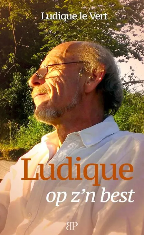 Ludique op z'n best eBook