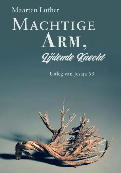 Machtige Arm, lijdende Knecht eBook