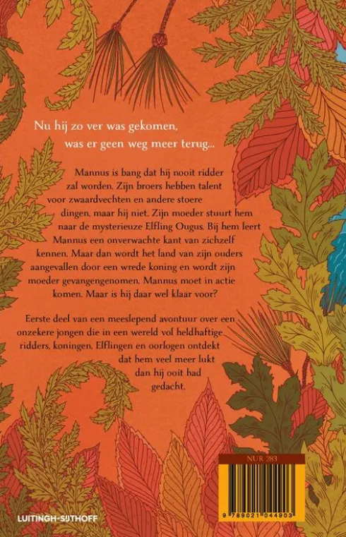 Mannus en de onzichtbare kracht eBook