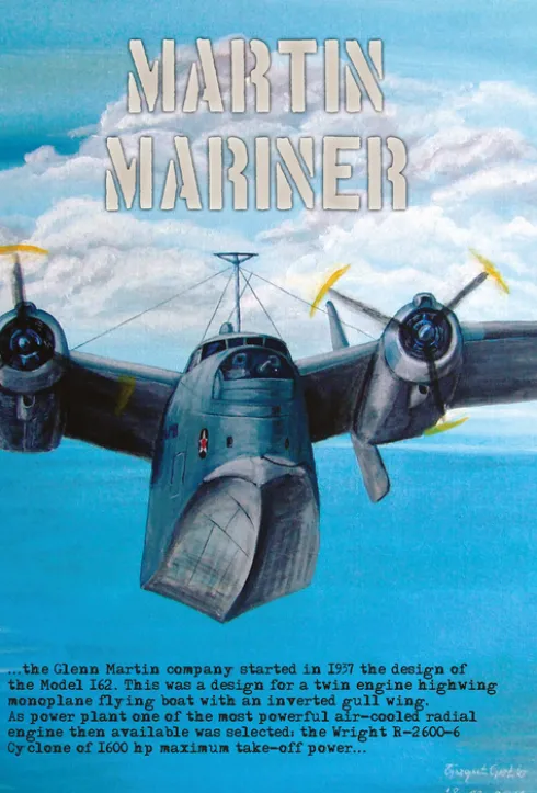 Martin Mariner eBook