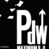 Maximum rede en bullshit eBook