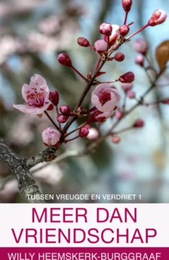 Meer dan vriendschap eBook