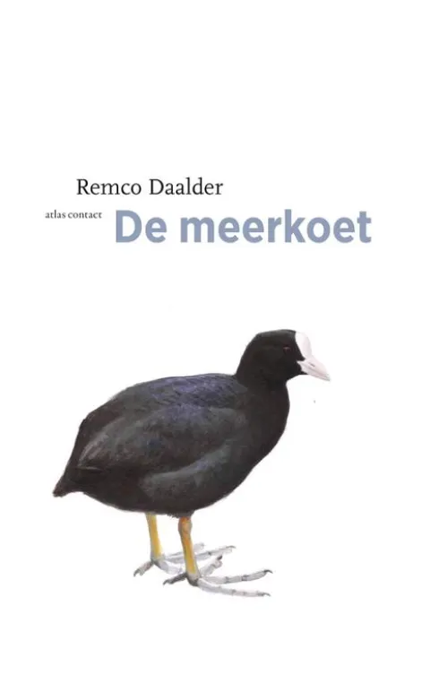 Meerkoet eBook